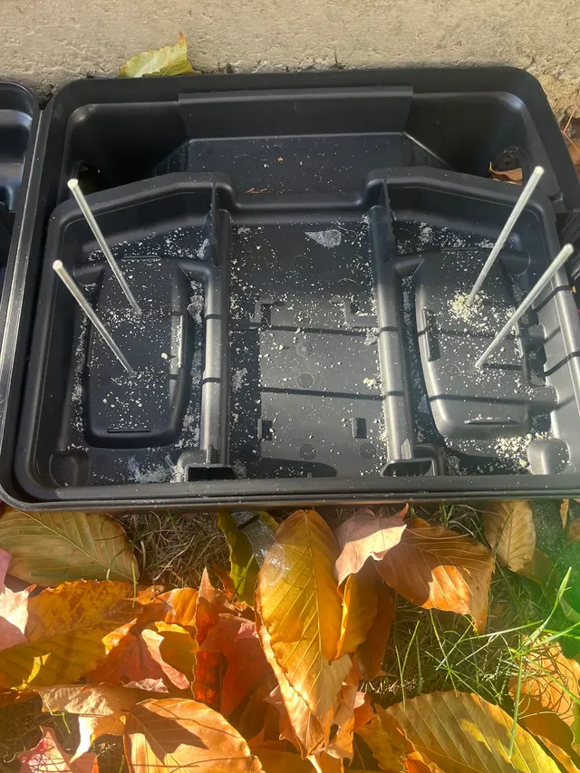 Insight Pest Solutions — customer photo 12