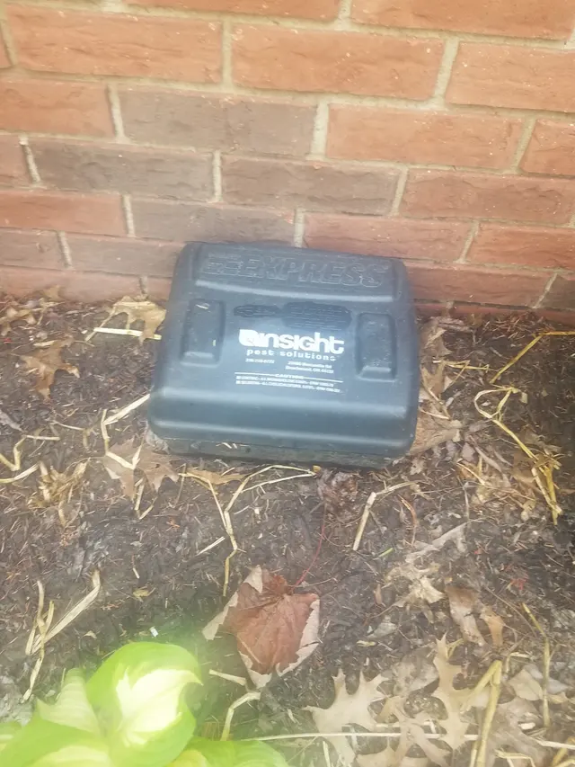 Insight Pest Solutions — customer photo 11
