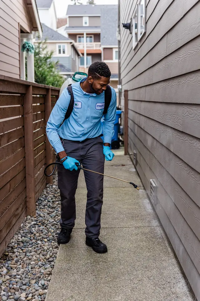Insight Pest Solutions — photo from the business 8