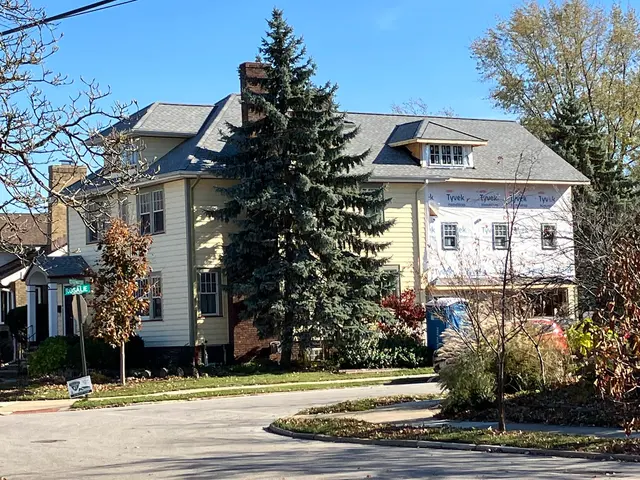 Insight Pest Solutions — customer photo 10
