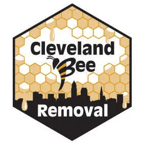 Cleveland Bee Removal — photo from the business 9