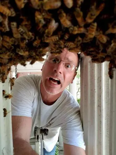Cleveland Bee Removal — photo from the business 10
