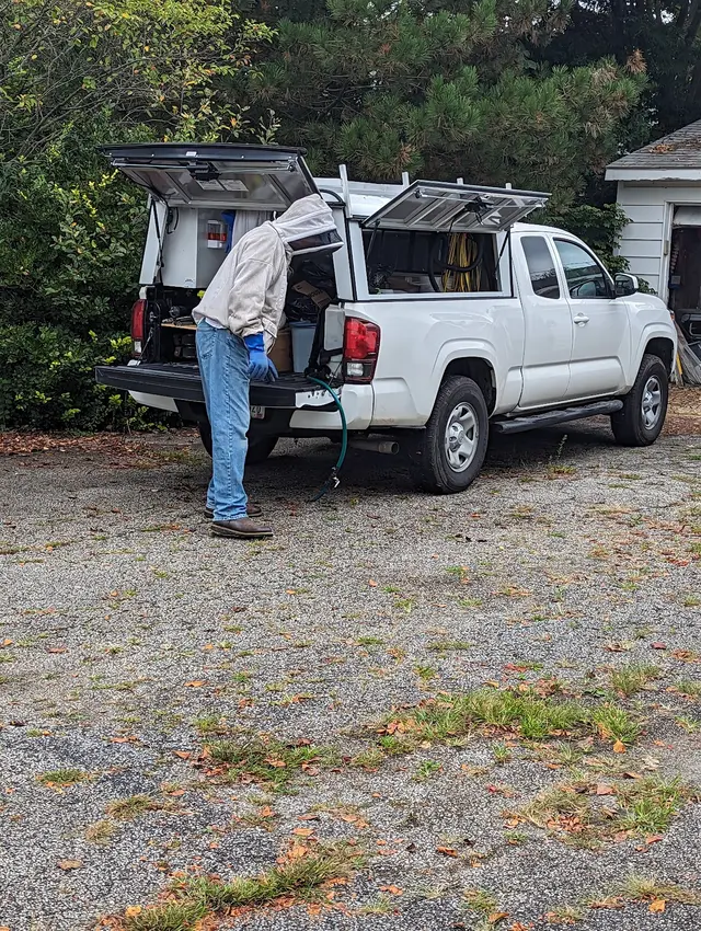 Cleveland Bee Removal — customer photo 6