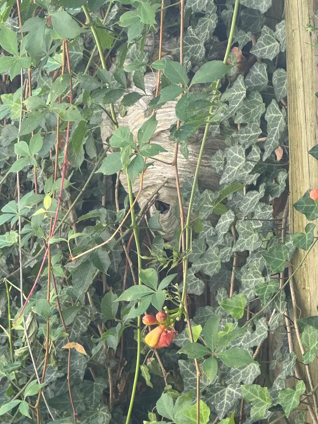 Frame's Pest Control, Inc. — customer photo 8