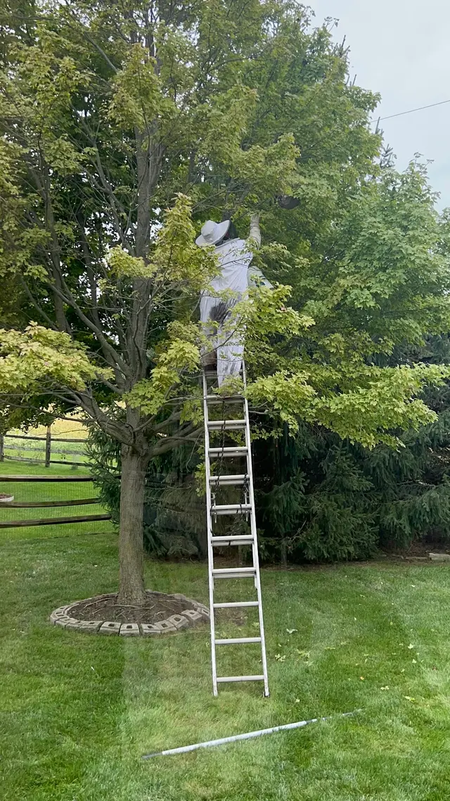 Frame's Pest Control, Inc. — customer photo 1