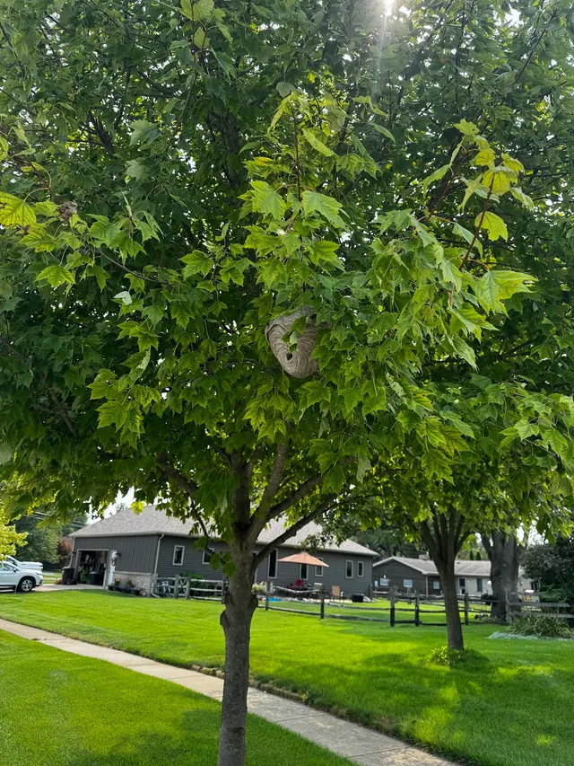 Frame's Pest Control, Inc. — customer photo 5