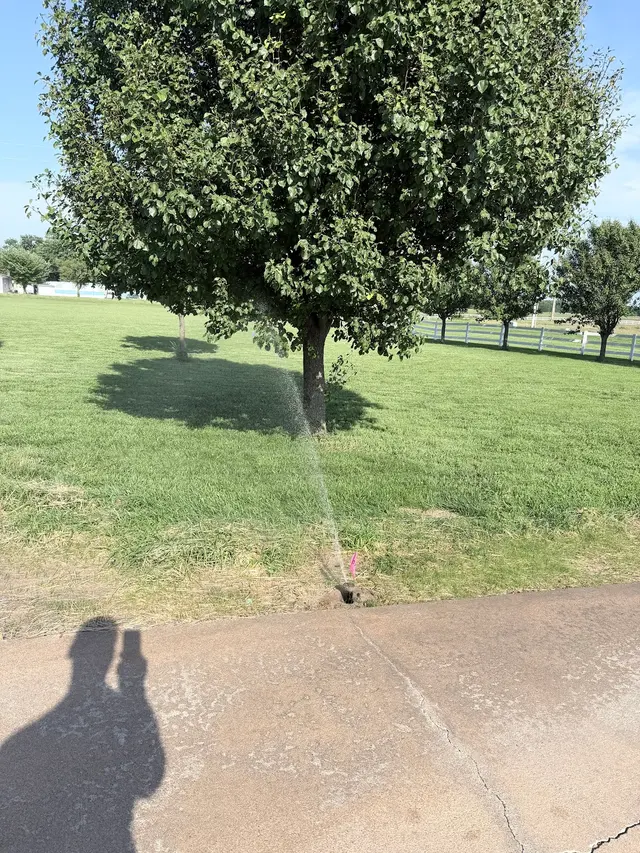 EverSpring Irrigation — customer photo 10