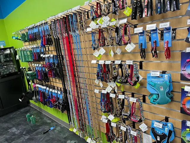 Pet Evolution - Richmond, TX - Grooming | Self-Wash | Healthy Food | Mobile Nail Trim — photo from the business 3