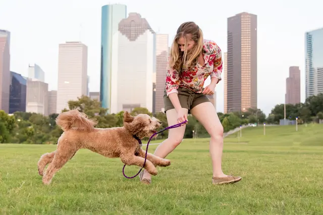 Beyond the Dog, LLC — photo from the business 11