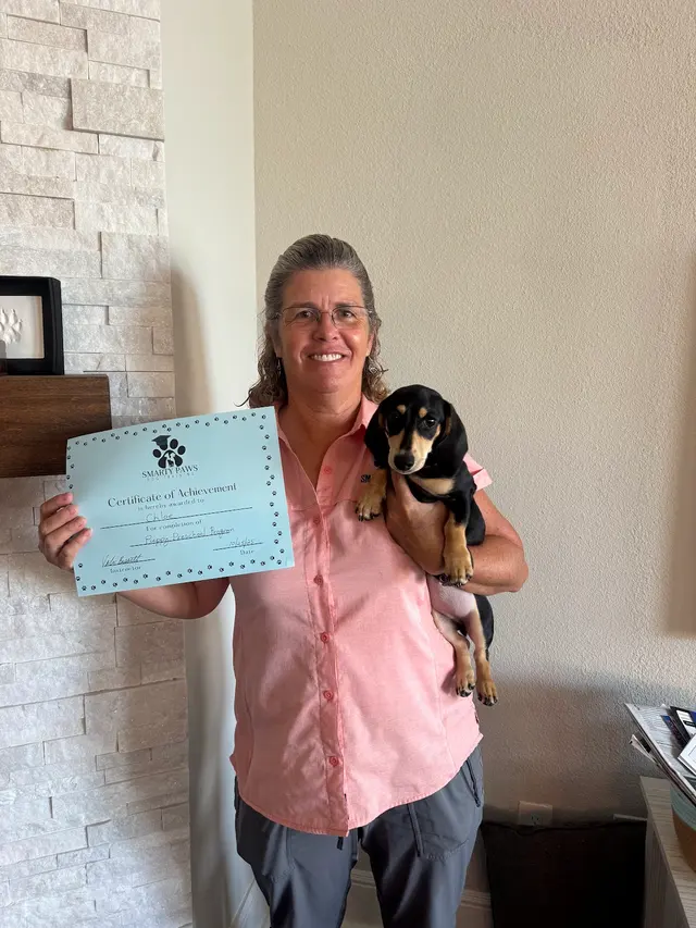 Smarty Paws Dog Training — photo from the business 9