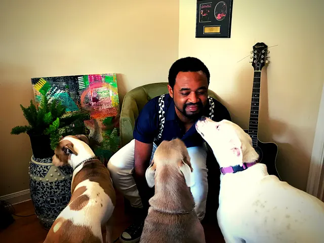 All 4 Paws Dog Training — photo from the business 1