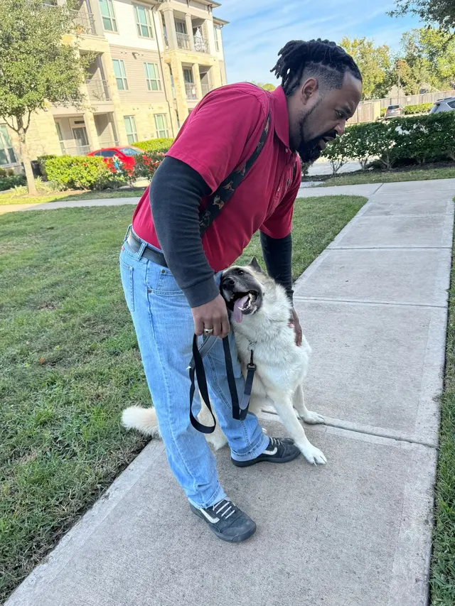All 4 Paws Dog Training — customer photo 2