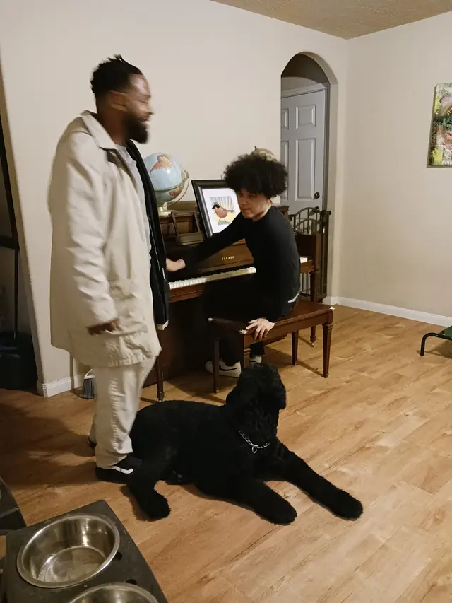 All 4 Paws Dog Training — photo from the business 11