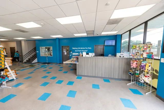 Meadowlake Pet Resort — photo from the business 10