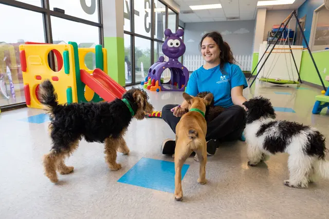 Meadowlake Pet Resort — photo from the business 2