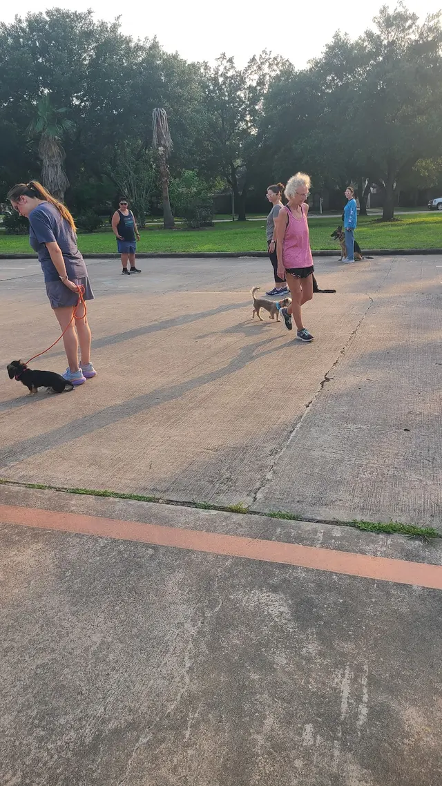 Tail to Tail Training — photo from the business 1