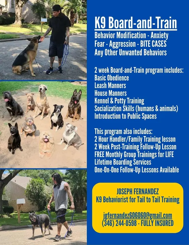 Customer photo of work by Tail to Tail Training, from Leticia Granger's review