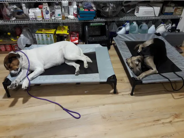 Tail to Tail Training — customer photo 6