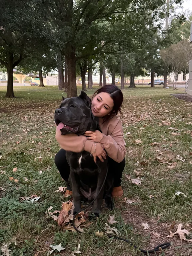 Dog Training Elite West Houston Facility — customer photo 11