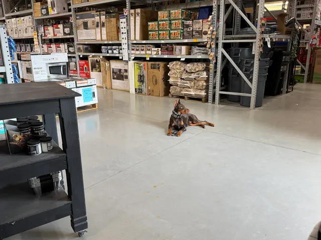 Customer photo of work by Dog Training Elite West Houston Facility, from Jay Prasad's review