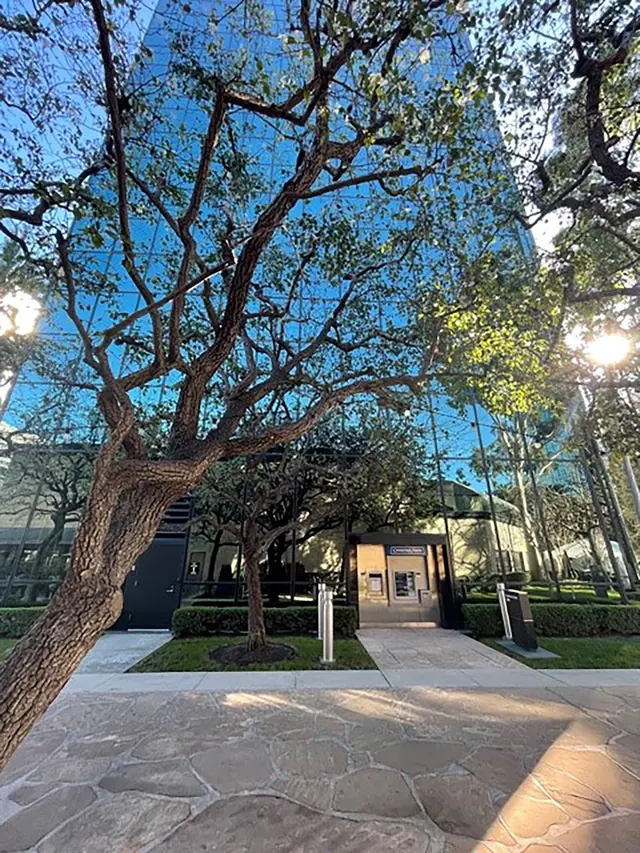 DK Law — photo from the business 10