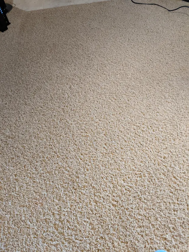 Dryex — customer photo 3