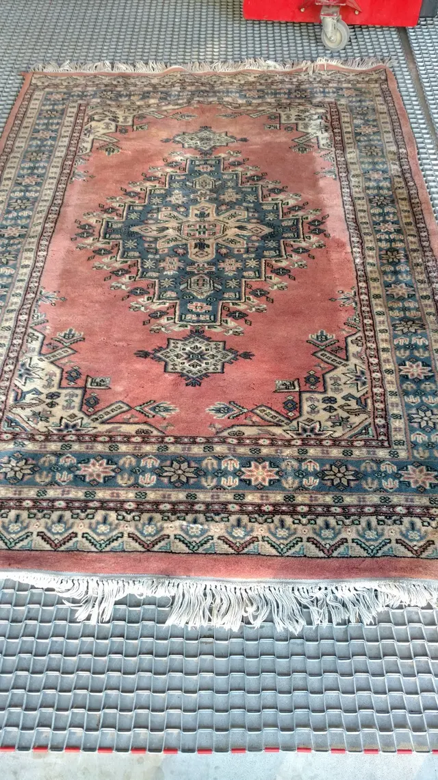 Dryex — customer photo 10