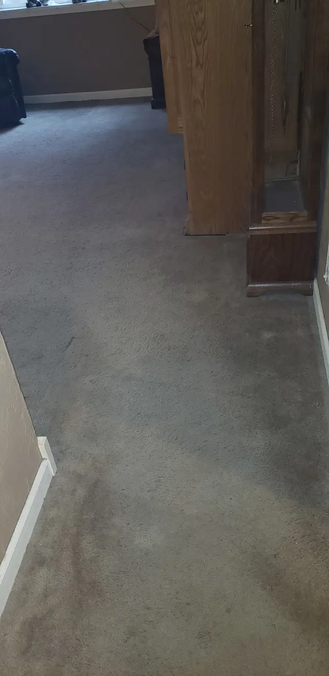 Dryex — customer photo 9