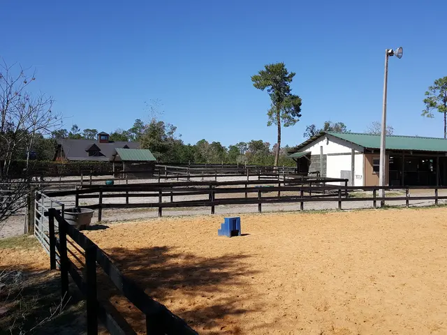 Lake Forest Equestrian Center — customer photo 4