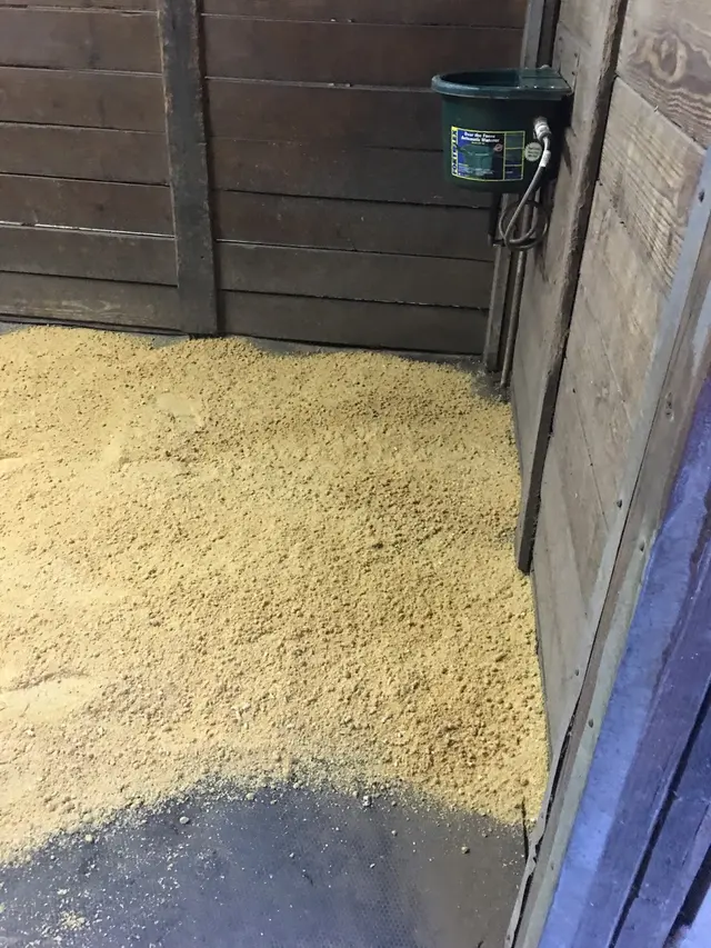 Lake Forest Equestrian Center — photo from the business 12