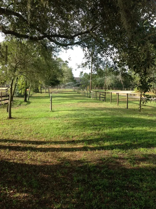 Lake Forest Equestrian Center — photo from the business 2