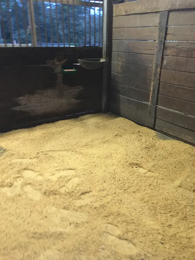 Lake Forest Equestrian Center — photo from the business 5