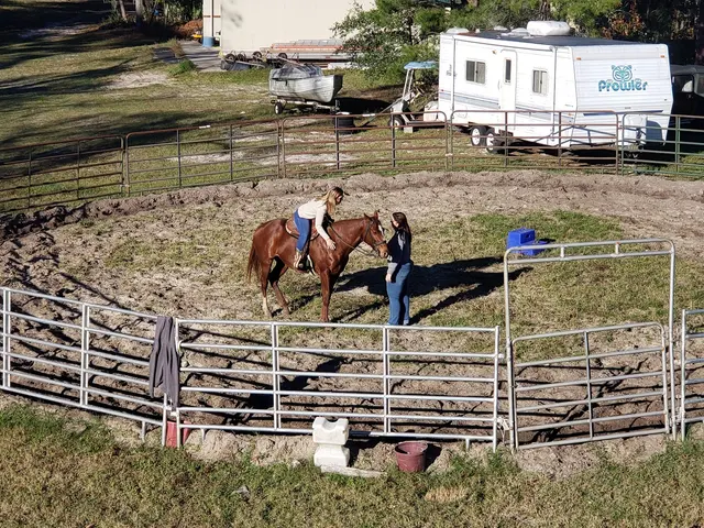 Lake Forest Equestrian Center — customer photo 3