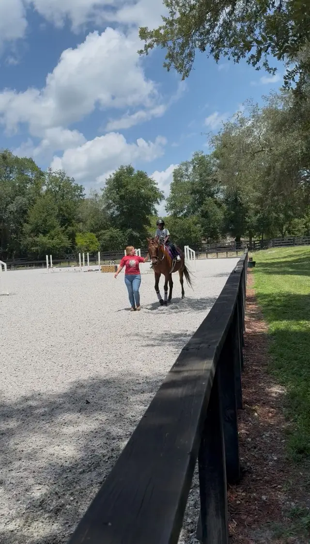 Equestrian Legacy — customer photo 7