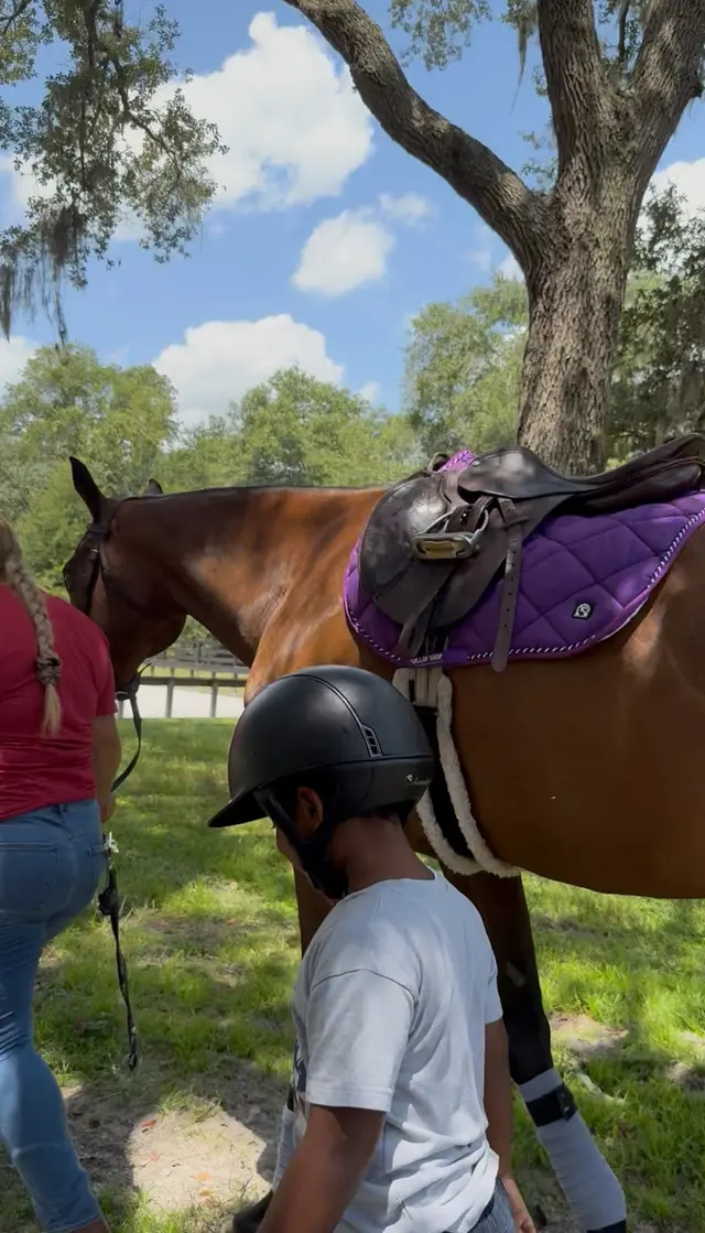 Customer photo of work by Equestrian Legacy, from spice Designer's review