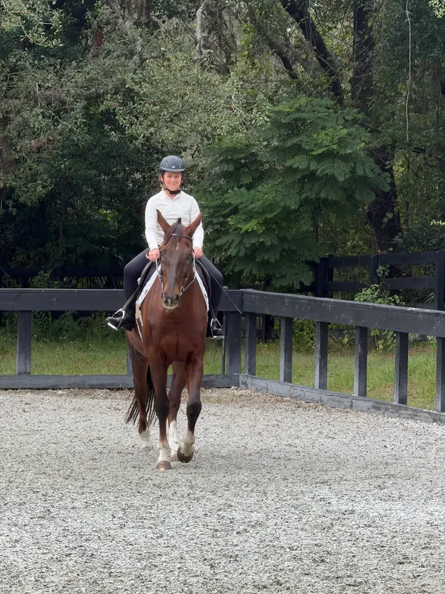 Customer photo of work by Equestrian Legacy, from Rachael Guernsey's review