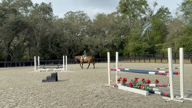 Equestrian Legacy — customer photo 5