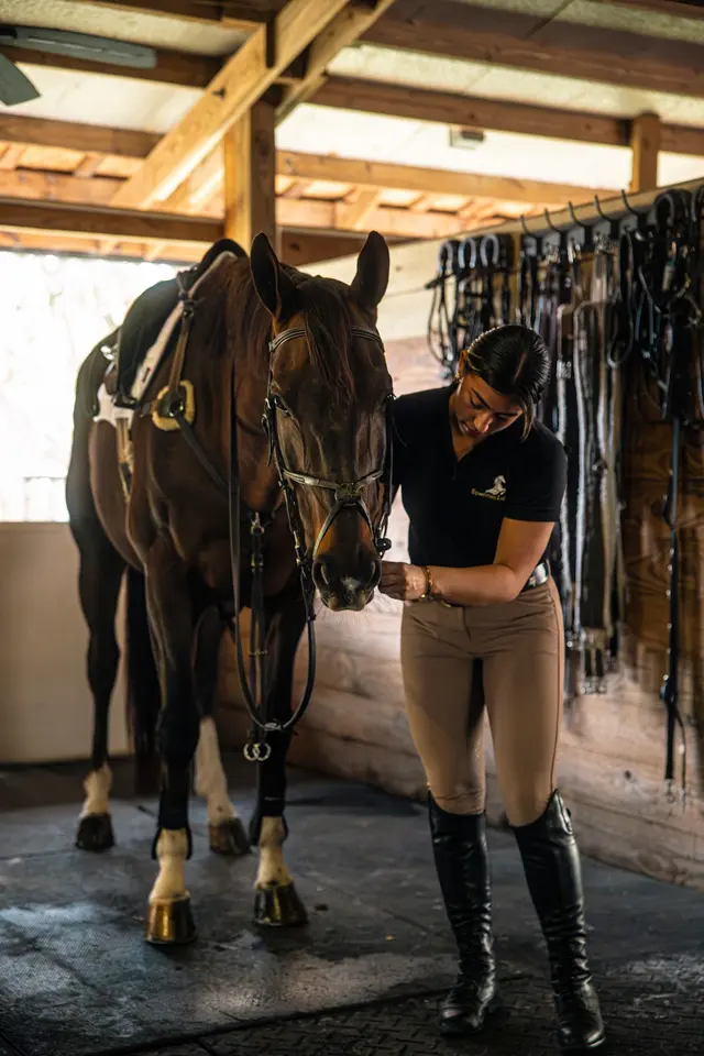 Equestrian Legacy — photo from the business 2