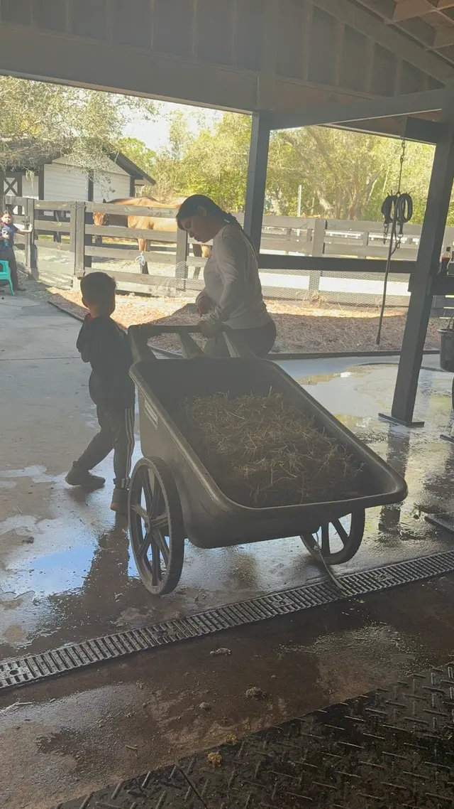 Equestrian Legacy — customer photo 10