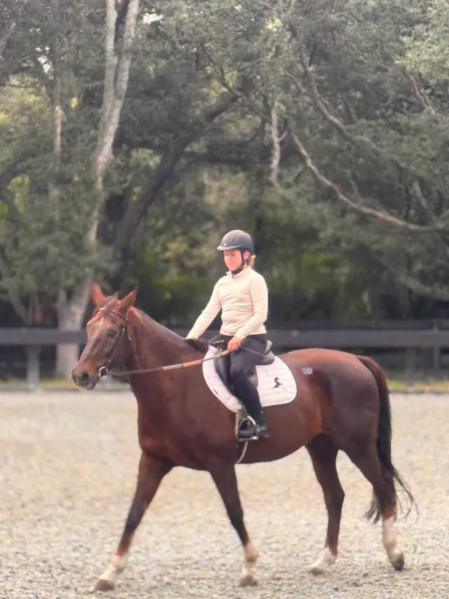 Customer photo of work by Equestrian Legacy, from Rachael Guernsey's review