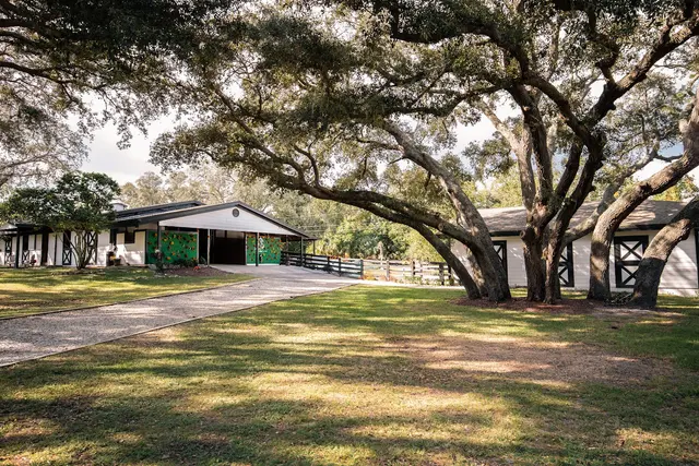 Equestrian Legacy — photo from the business 3