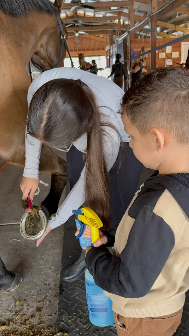 Equestrian Legacy — customer photo 11