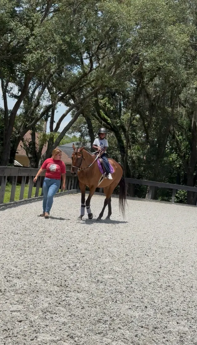 Customer photo of work by Equestrian Legacy, from spice Designer's review