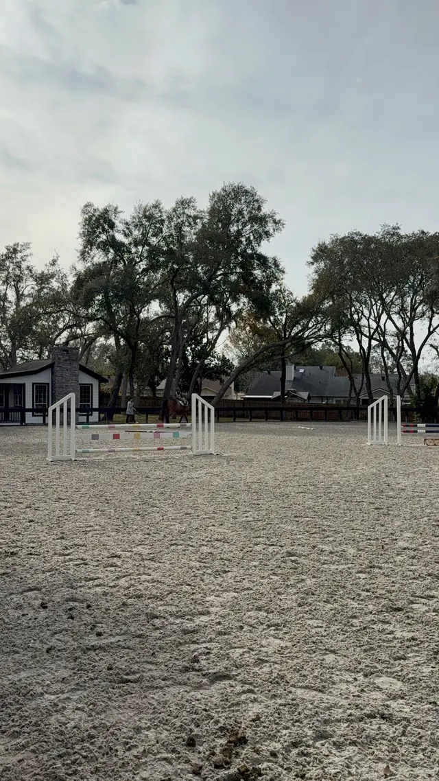 Equestrian Legacy — customer photo 8