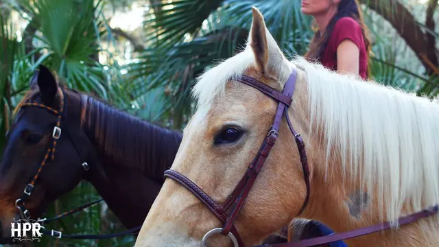 Hidden Palms Ranch — photo from the business 1