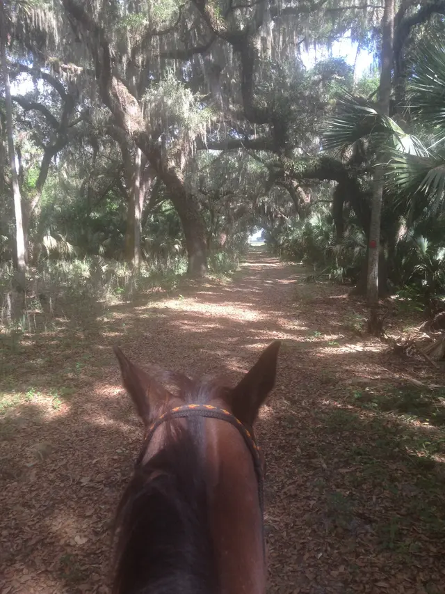Hidden Palms Ranch — photo from the business 7