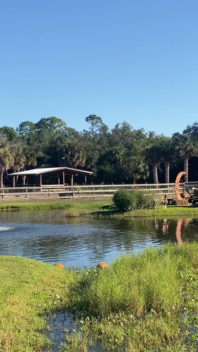 Customer photo of work by Hidden Palms Ranch, from Aleksandr Petrishin's review