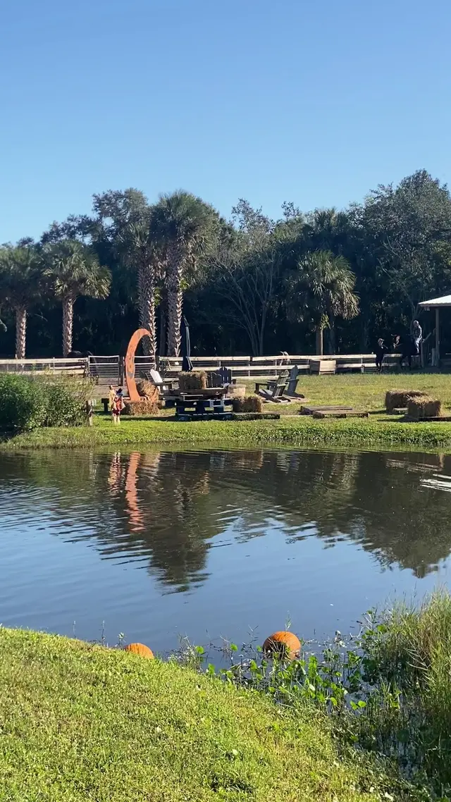 Customer photo of work by Hidden Palms Ranch, from Aleksandr Petrishin's review