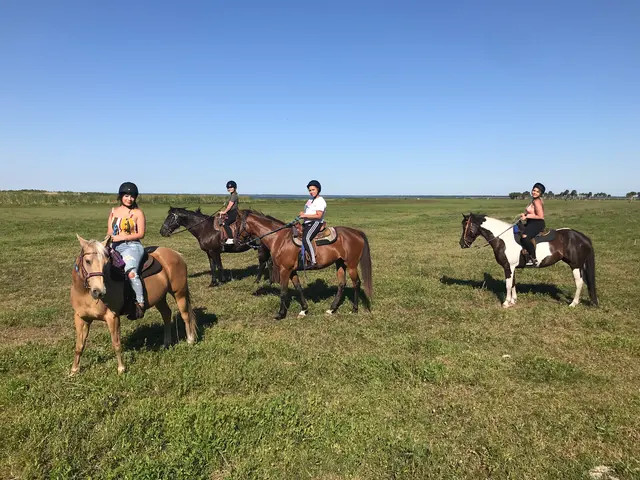 Hidden Palms Ranch — photo from the business 10