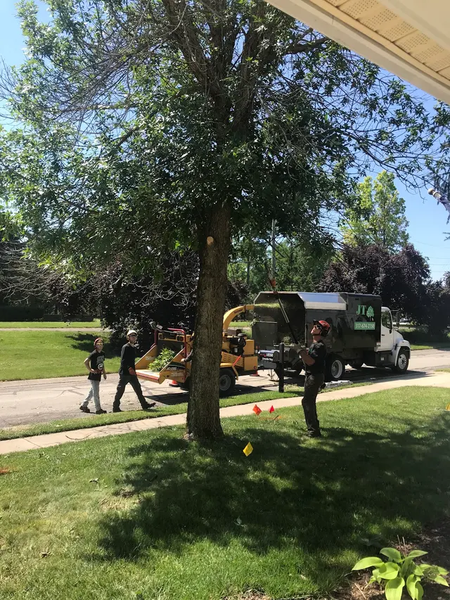 JT Tree Service — customer photo 10